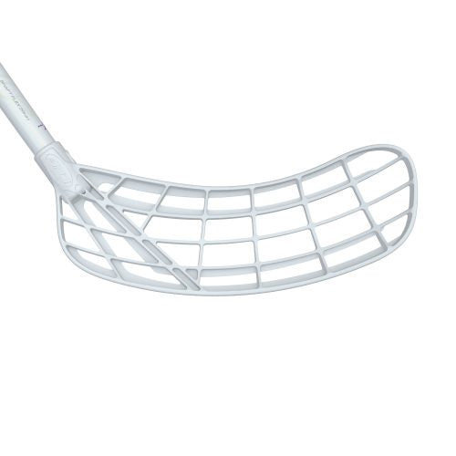 RAW CONCEPT 29 SPD